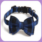 Collar-215